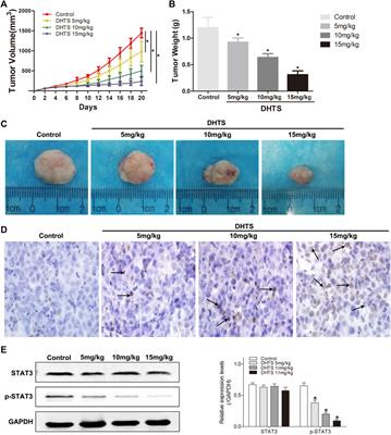 Dihydrotanshinone Inhibits Hepatocellular Carcinoma by Suppressing the JAK2/STAT3 Pathway